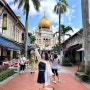 싱가포르 하지레인&술탄모스크 여행 추천 코스 (+ 아랍 스트리트 특이한 카페 타릭)