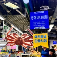 강릉중앙시장맛집 먹거리 회센터 동해바다횟집
