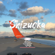 시즈오카 3박4일 자유여행 코스 및 일정