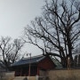 서울 문묘 및 성균관-2 (24.02)
