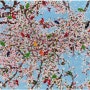 개념적 예술작품]데미안 허스트(Damien Hirst)의 설치미술:상어, 다이아몬드 해골_논란의 중심 설명과 이해