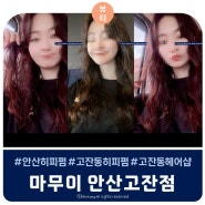 마무이 : 안산 미용실 올여름 힙하게 히피펌