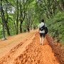 대전 계족산황톳길 맨발걷기 하러 당일치기 여행 후기 ( 비오는날 장동산림욕장 판초입고 걷기 )