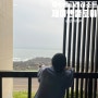 [제주도숙박] 제이앤클로이 리조트 : 태교여행 돌고래가 보이는 숙소