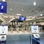 [호주여행] 입국 신고서 작성법 & 시드니 국제공항 입국 방법 & 캔버라행 머레이 버스 탑승장 이동법