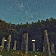 6월 | 은하수와 반딧불이 기록 ③ 경기 양평 숲속의 미술공원 (서울근교가볼만한곳)