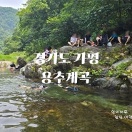경기도 가평 계곡 어른들도 놀기 좋은 수심 깊은 용추계곡 추천