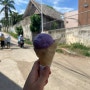 보홀 아이스크림 비팜아이스크림