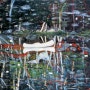 스코틀랜드 출신 화가: 피터 도이그(Peter Doig)작품 특징_하얀색,화이트 카누(White Canoe)그림 해석
