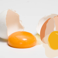 계란 노른자의 놀라운 효능과 영양성분, 하루 몇 개나 먹어야 할까?