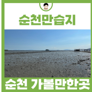 서해 갯벌 체험 순천 가볼만한곳 순천와온해변 순천만습지