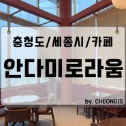 안다미로라움 세종 카페 대형 분위기 베이커리 청주 대전 근교 주차 추천