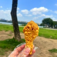 고터 치킨 맛집 미쉐린가이드 쉐프님이 만든 효도치킨 반포한강공원배달 포장 후기