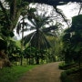 말레이시아 여행 - 쿠알라룸푸르 페르다나 식물원과 버기카