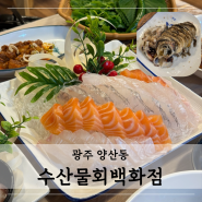 고소한 갑오징어 통찜 & 회 냠냠 : 광주 양산동 횟집 수산물회백화점