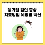 뎅기열 댕기열 원인 증상 치료방법 예방법 백신