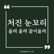 처진 눈꼬리를 올려올려! (리참성형외과)