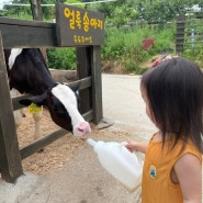 강릉 대관령아기동물농장