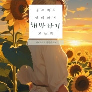 해바라기에 담긴 여러가지 이야기, 풍수지리 인테리어에서는?