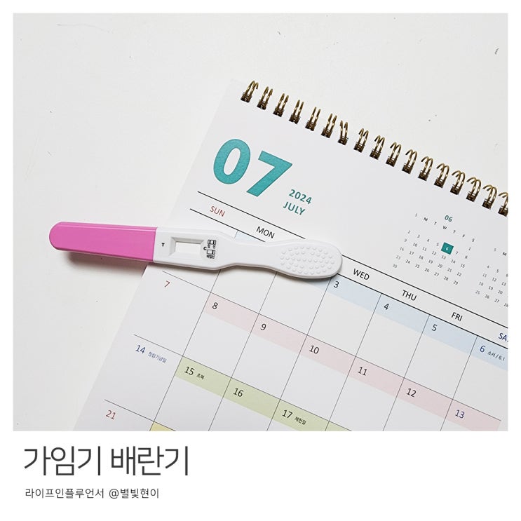 가임기 뜻 임신확률 높이기 배란기 가임기 증상 계산 방법 : 네이버 블로그
