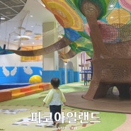 용인 피코아일랜드 두돌아기와 내돈내산 평일 오후 방문후기