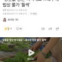 장난 아닌 상춧값 :) 20240714(일)