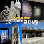 국립고궁박물관 파리 노트르담 대성당 증강현실 특별전 서울 무료 전시회