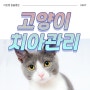고양이 치아 관리 : 양치 & 치석제거 (feat. 치주질환)