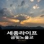 [세종라이프] 금빛노을교 일몰