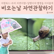 비오는날 아이랑 자연관찰 달팽이 찾기 우리자연이랑