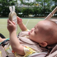 아기옹알이시기 7개월아기장난감 추천 하베브릭스 아기토끼핸트폰
