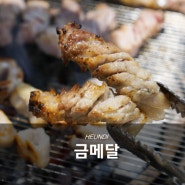 대전 유천동 맛집, 금메달 숯불 고기 무한리필 맛도리야♥ (Ft.아기동반)