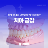 치아 금감 앞니 깨짐 어떻게 치료할 수 있을까