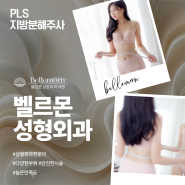 제주 지방분해주사 특정부위가 빠지지 않는다면