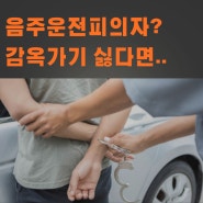 음주운전피의자? 감옥 가기 싫다면 꼭 보세요.