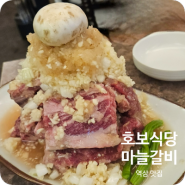 [강남] 역삼 맛집 호보식당 마늘갈비 tvN 줄서는 식당 역삼 가볼만한곳