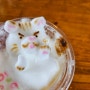버스투어 유후인 카페 추천 듀오 Duo 고양이 라떼아트 귀여워 😆 메뉴 가격