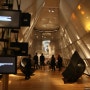 [달고양이 세계여행] 뉴욕, 미국/세인트 패트릭스 성당과 뉴욕 현대미술관 모마 MoMA