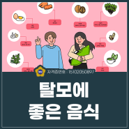 탈모에 좋은 음식 챙겨서 미리 방지해요