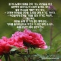 기독교 복음 선교회<JMS정명석 목사님의 지혜의 잠언>