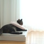 고양이 강아지 대리석 쿨매트 침대 여름 나기