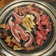 시흥 대야동맛집 뉴서울뷔페 소고기무한리필 돼지고기 육회 무한 가성비 맛집