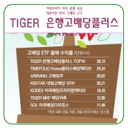 1007 매경 한국 고배당 ETF 美 수익률 앞질렀다 38% TIGER 은행고배당플러스 TOP10 // ACE ETF 커버드콜 콜옵션 15%
