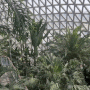 거제식물원 정글돔 ⭕ 거제 필수관광지 실내 가볼만한곳