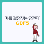 [제노뉴트라] 키를 결정짓는 유전자 GDF5