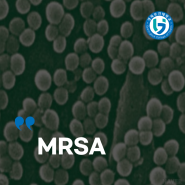 MRSA