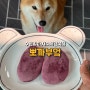 [수원 강아지 수제간식점] 믿고 먹일수있는 강아지간식 뽀까부엌! 기호성도 최고네요