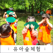 [41개월] 5살 조동친구들이랑 송도 센트럴파크 숲체험 후기 (깨비의숲마을)