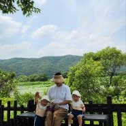 쌍둥이 임신 출산 후 몸의 변화 (PT 끊었어요)