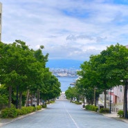 하코다테 여행의 필수 관광지, 하치만자카 낮 풍경과 야경